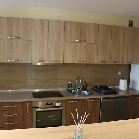 Main Center Apartment *